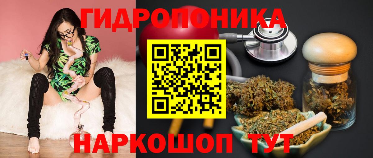 Каннабис индика Гуково
